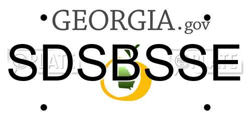 SDSBSSE Georgia License Plate