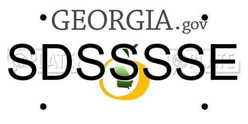 SDSSSSE Georgia License Plate