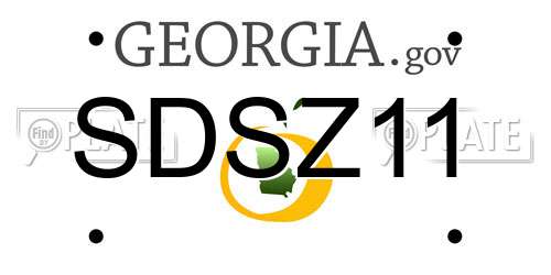 SDSZ11 Georgia License Plate