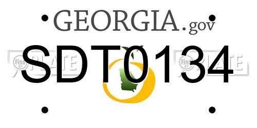 SDT0134 Georgia License Plate