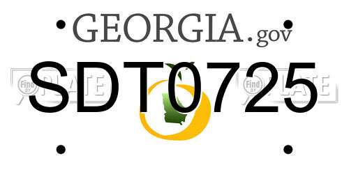 SDT0725 Georgia License Plate