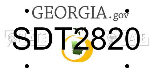 SDT2820 Georgia License Plate