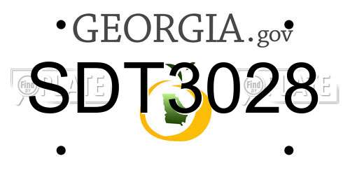SDT3028 Georgia License Plate