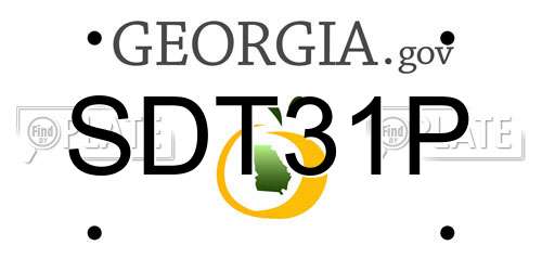 SDT31P Georgia License Plate