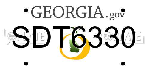 SDT6330 Georgia License Plate