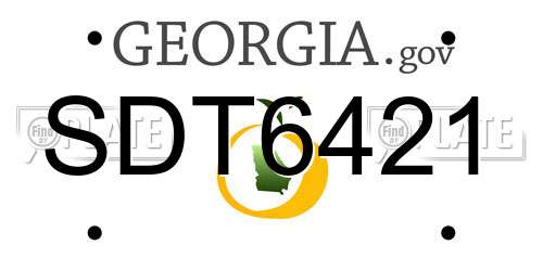 SDT6421 Georgia License Plate