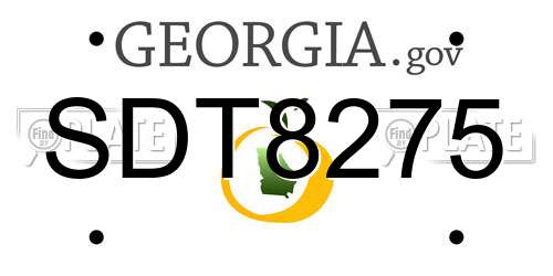 SDT8275 Georgia License Plate