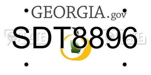 SDT8896 Georgia License Plate
