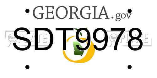 SDT9978 Georgia License Plate