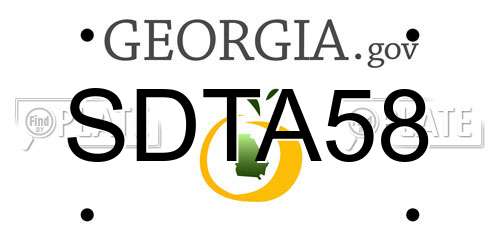SDTA58 Georgia License Plate