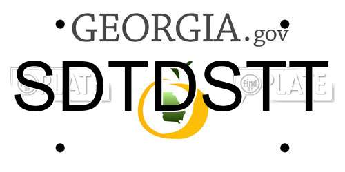 SDTDSTT Georgia License Plate