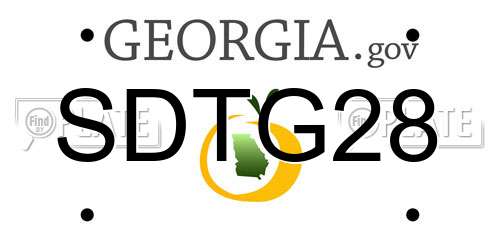 SDTG28 Georgia License Plate