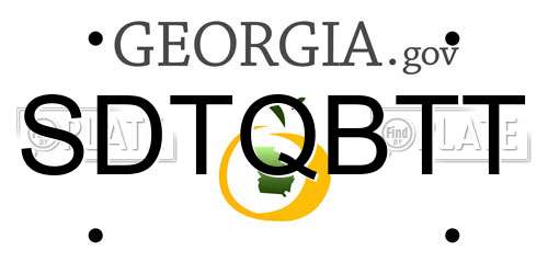 SDTQBTT Georgia License Plate