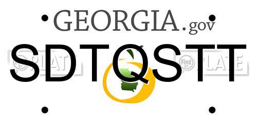 SDTQSTT Georgia License Plate