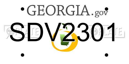 SDV2301 Georgia License Plate