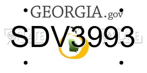 SDV3993 Georgia License Plate