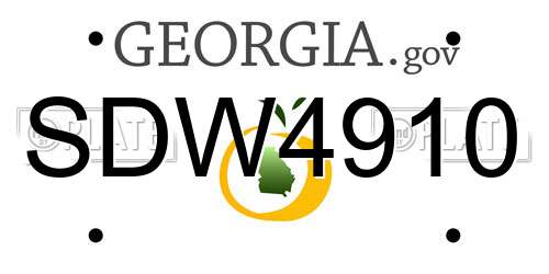 SDW4910 Georgia License Plate