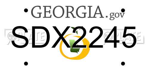 SDX2245 Georgia License Plate