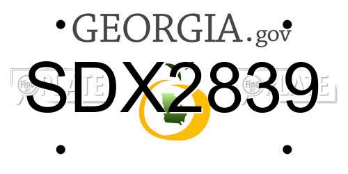 SDX2839 Georgia License Plate
