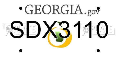 SDX3110 Georgia License Plate