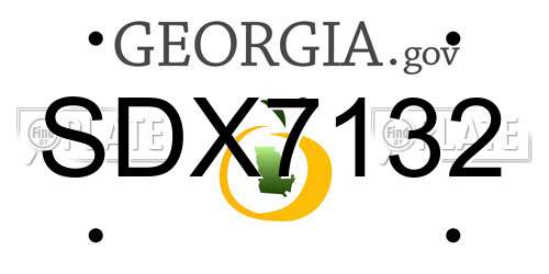 SDX7132 Georgia License Plate