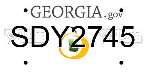 SDY2745 Georgia License Plate