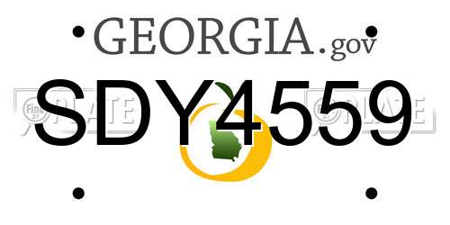SDY4559 Georgia License Plate