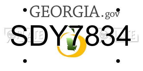 SDY7834 Georgia License Plate