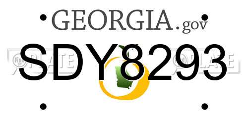 SDY8293 Georgia License Plate