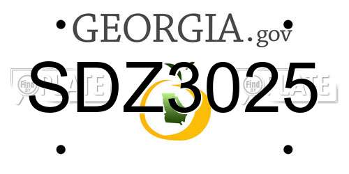 SDZ3025 Georgia License Plate
