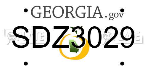 SDZ3029 Georgia License Plate