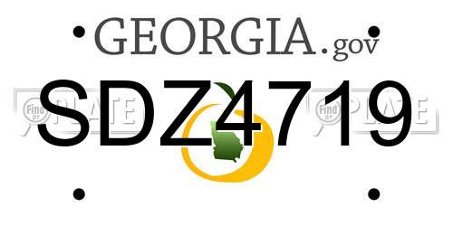 SDZ4719 Georgia License Plate