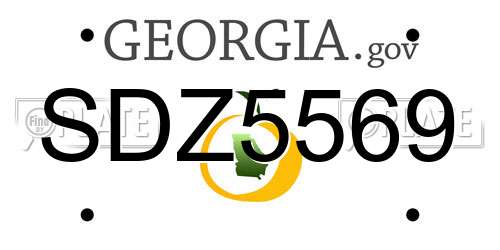 SDZ5569 Georgia License Plate