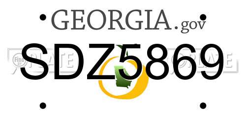 SDZ5869 Georgia License Plate