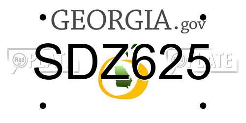 SDZ625 Georgia License Plate
