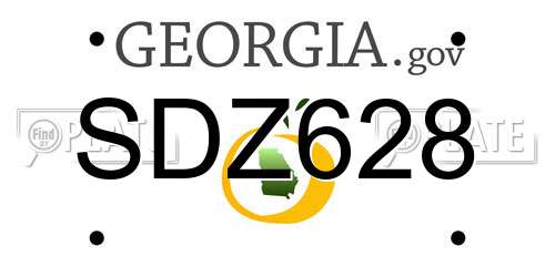 SDZ628 Georgia License Plate