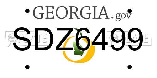 SDZ6499 Georgia License Plate
