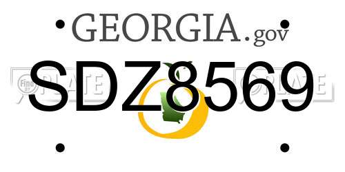 SDZ8569 Georgia License Plate