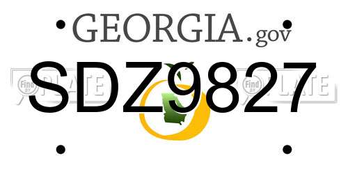 SDZ9827 Georgia License Plate