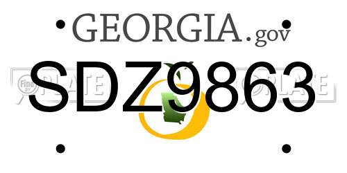 SDZ9863 Georgia License Plate