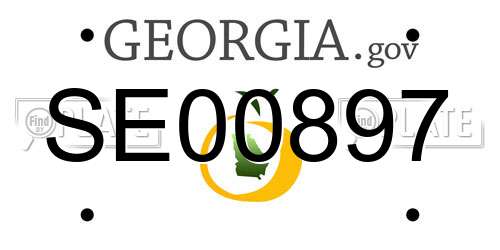 SE00897 Georgia License Plate