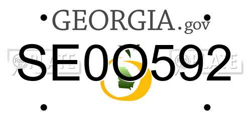SE0O592 Georgia License Plate