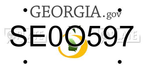 SE0O597 Georgia License Plate