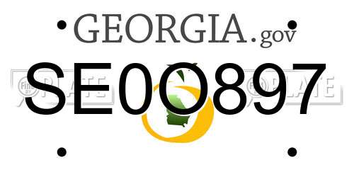 SE0O897 Georgia License Plate