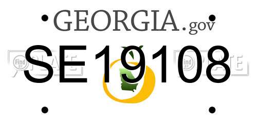 SE19108 Georgia License Plate