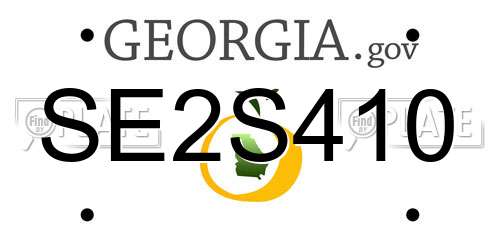 SE2S410 Georgia License Plate