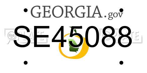 SE45088 Georgia License Plate