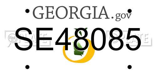 SE48085 Georgia License Plate