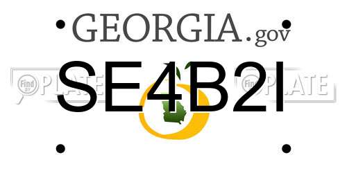 SE4B2I Georgia License Plate