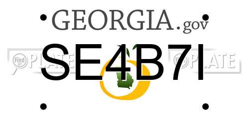 SE4B7I Georgia License Plate